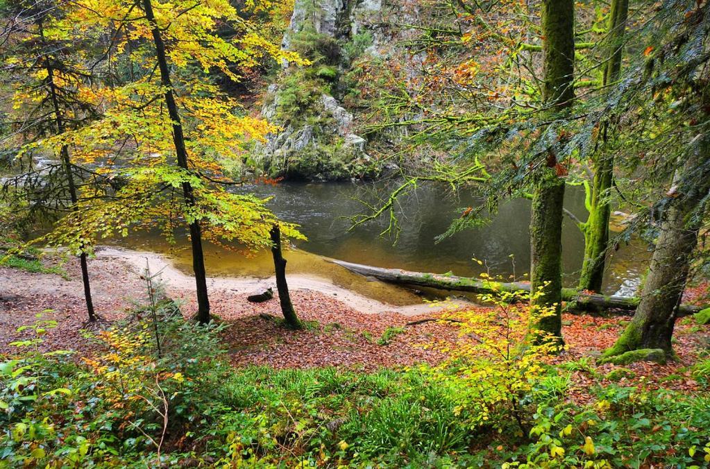 Meublé pour 5 pers – Hautes Vosges Thiéfosse Exterior foto